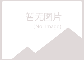 铁岭初夏能源有限公司